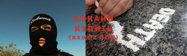 гидра Гусь-Хрустальный
