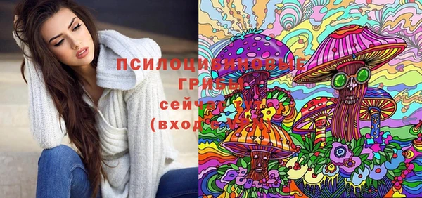 jwh Гусев
