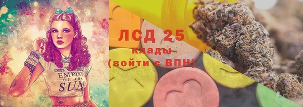 jwh Гусев