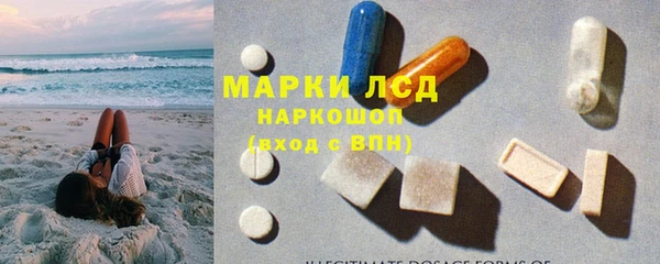 гидра Гусь-Хрустальный